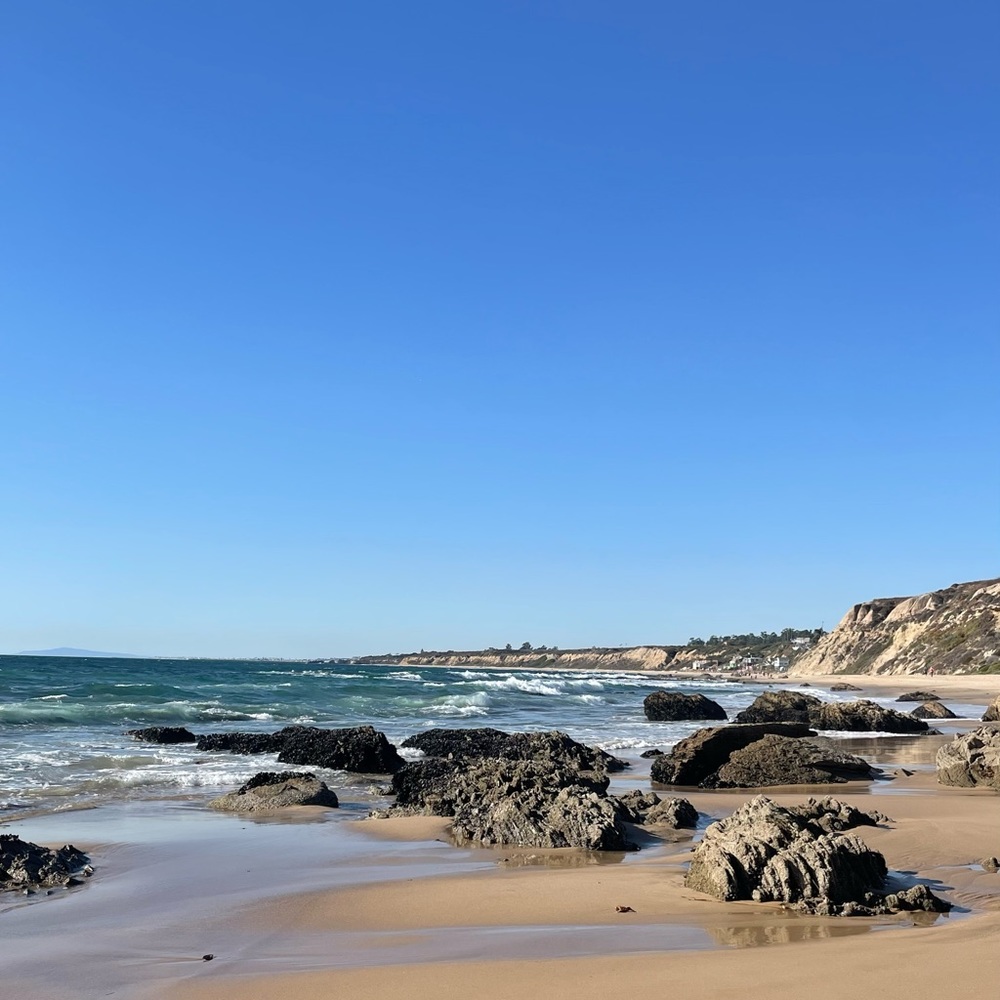 Meet your Posher, Izzy